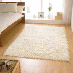 Carpet Cleaning Canonbury